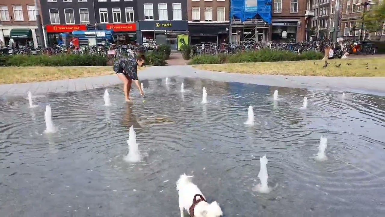 In het water op het Heinekenplein augustus 2020
