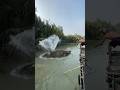 Fisherman hunting danger zone #viralvideo #shortvideo