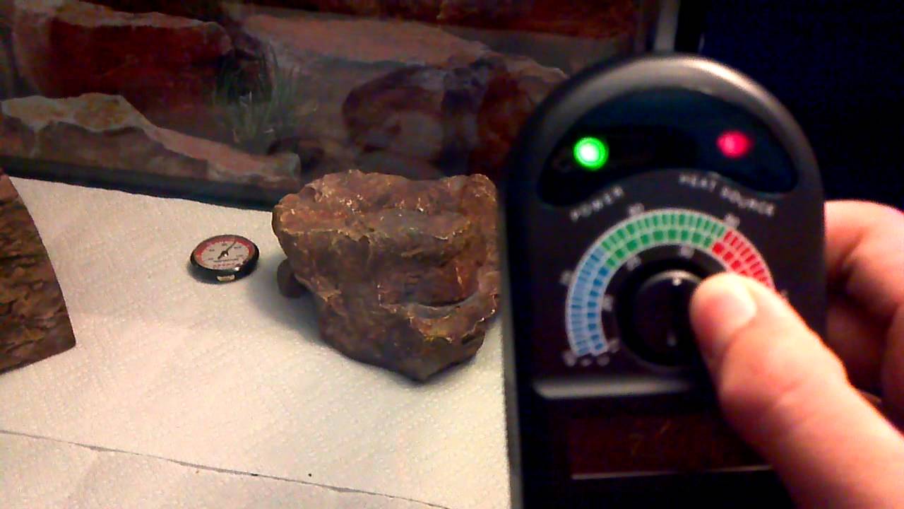 zilla 500 watt temperature controller