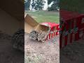 Really good quick bird trap using cardboard box #shorts