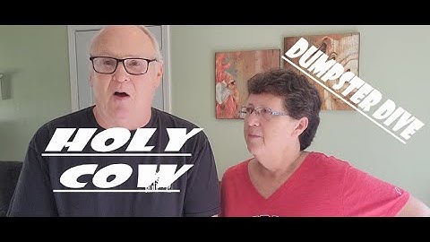 Dumpster diving at CVS, DOLLAR TREE and WINN DIXIE saving from the landfill #shorts #frugal #free