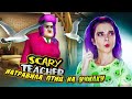 НАТРАВИЛА ПТИЦ на УЧИЛКУ 😁 ЗЛАЯ УЧИТЕЛЬНИЦА ► Scary Teacher 3D