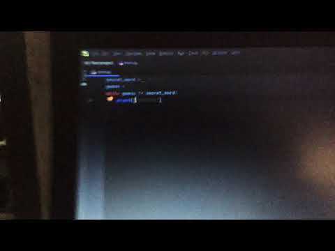 Python infinite glitch pc