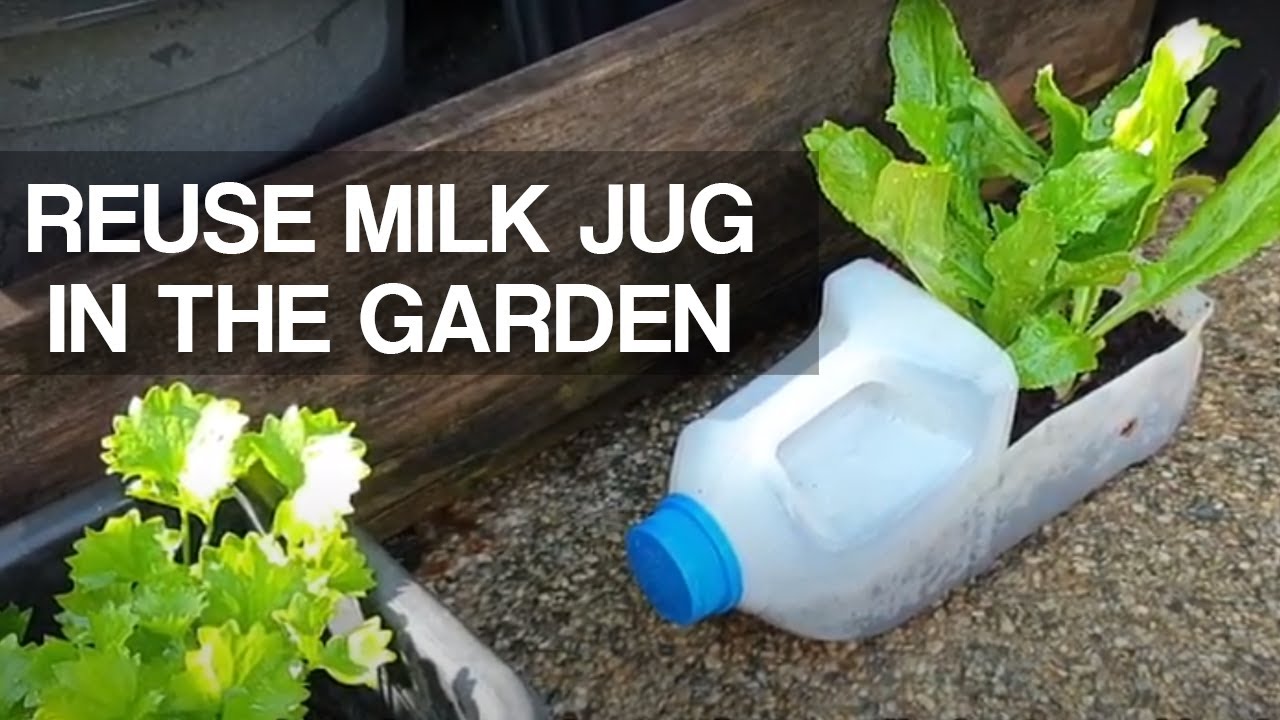 How to upcycle plastic milk jugs