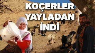Koçer Hêdî Hêdî Vedigerin