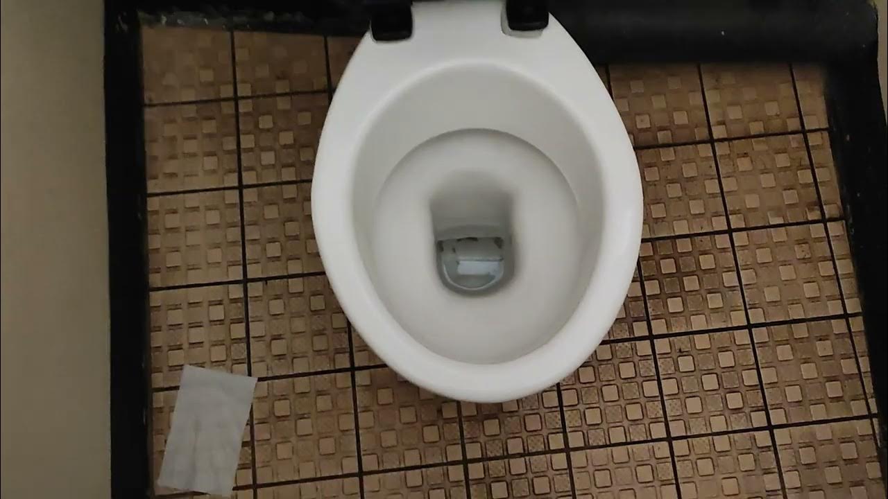 Helen Garden public toilets Eastbourne YouTube