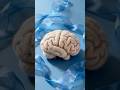 What Happens to Your Body When You Don’t Sleep (Shocking Truth)