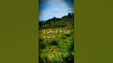 تلاوة خاشعة قرأن كريم بصوت جميل #قران_كريم #elmulquranعلم #اكسبلور #المصحف #قرآن #trend #duet