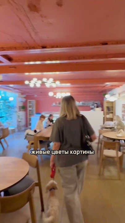 Новое местечко. Нам понравилось! Моти.кот- Волгоград #волгоград # ...