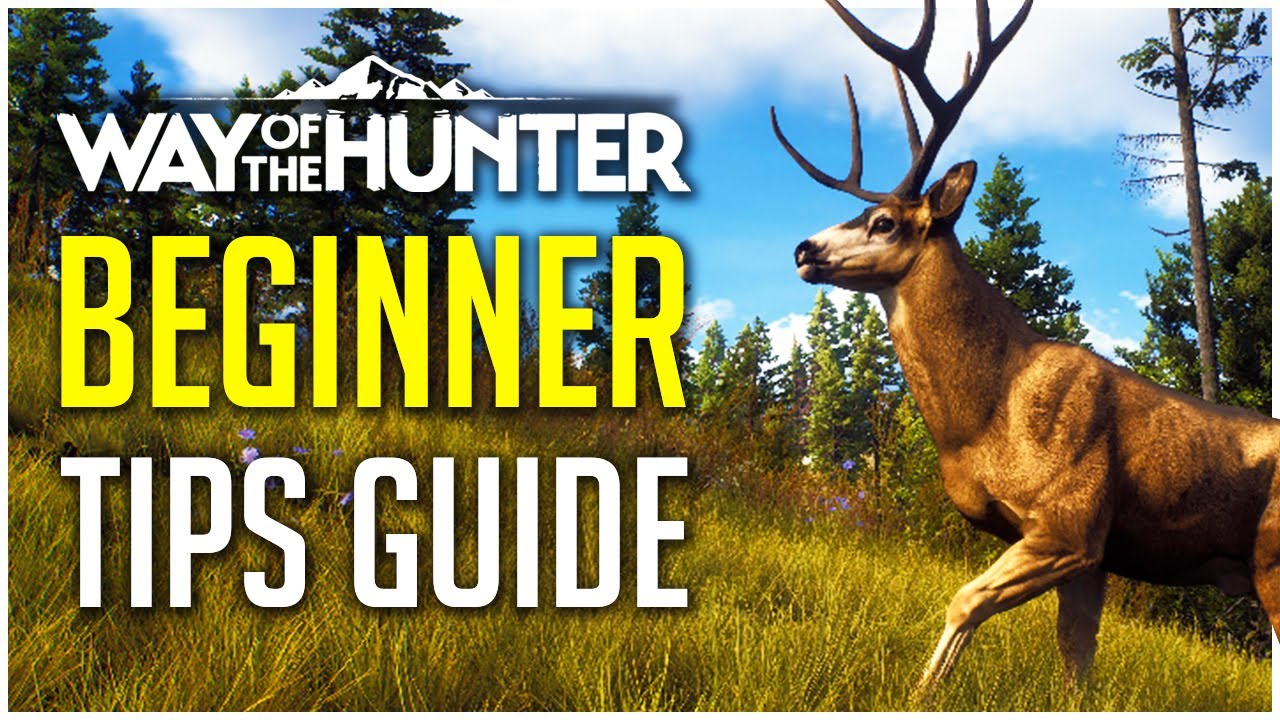 Beginner Tips for theHunter: Call of the Wild