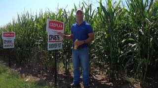 CROPLAN 4676 SS