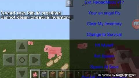ReloadModzV1 Mod Menu Review MCPE ).13.0
