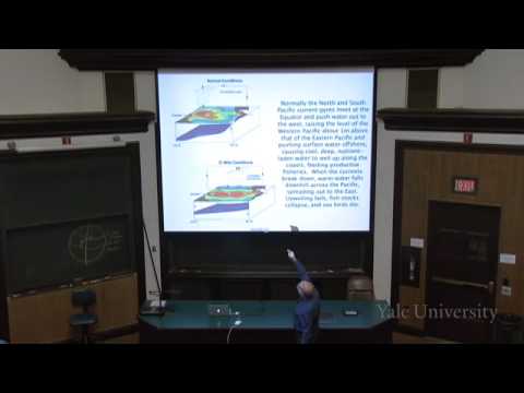 24. Climate and the Distribution of Life on Earth