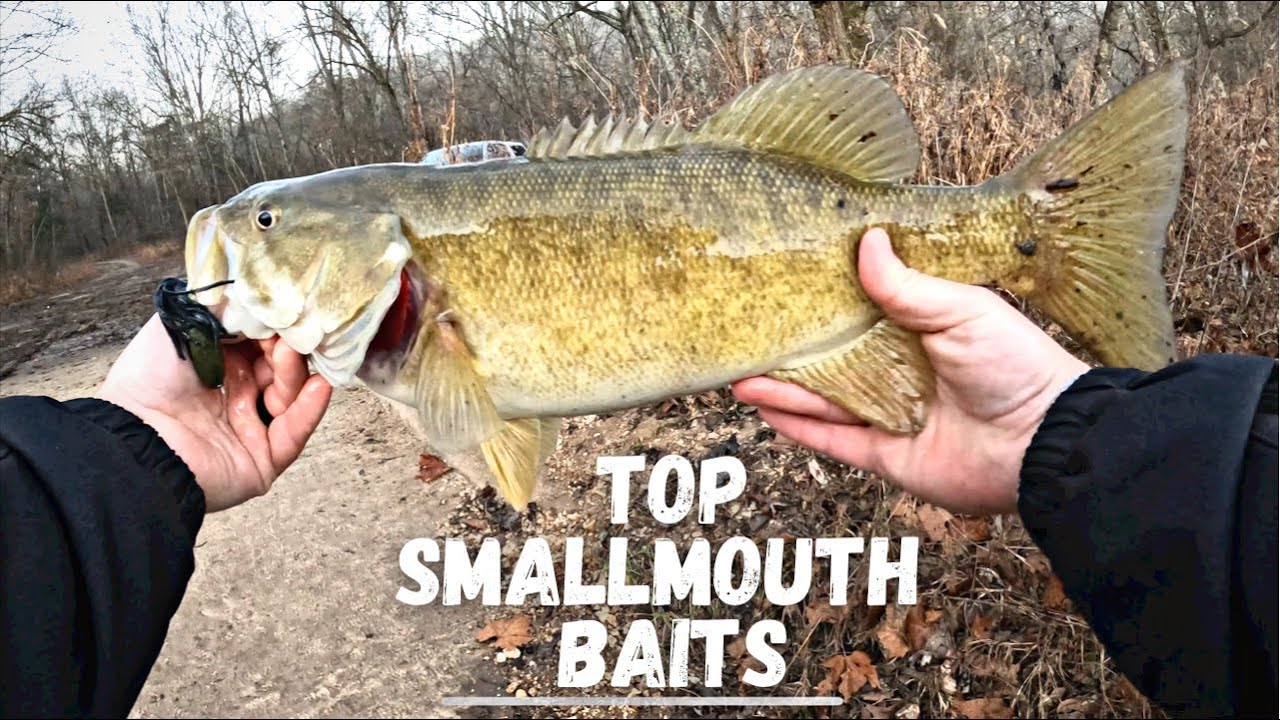 Top 5 River Smallmouth Baits that will catch you more bass 