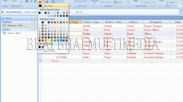 Microsoft Access 2007 video toturial 05: Home:- Font