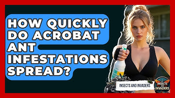 How Quickly Do Acrobat Ant Infestations Spread? - Insects and Invaders