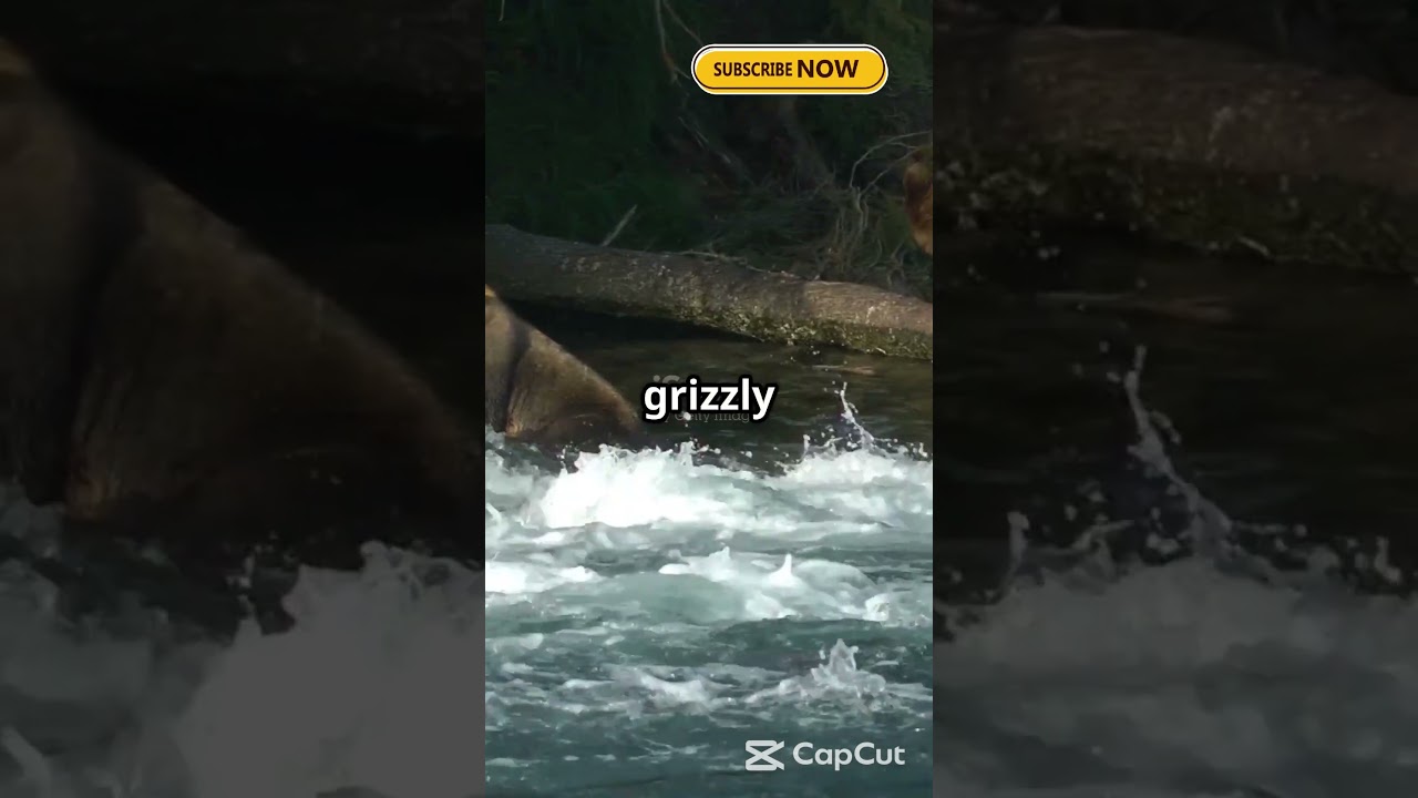 ❄️🐻 Discover Alaska's Untamed Beauty – Where Wild Meets Wonder! 🌄🛶 