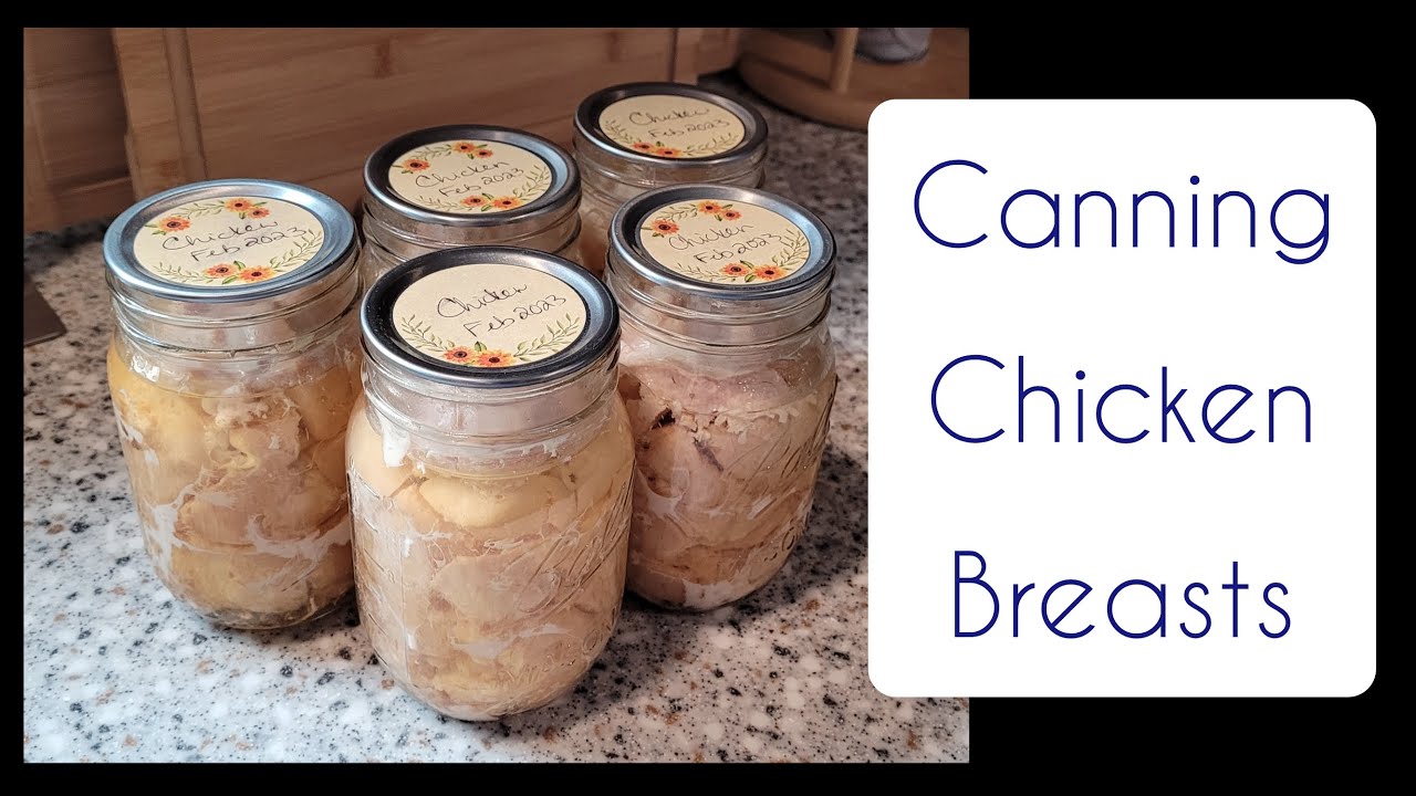 How To Use A Presto Precise Digital Pressure Canner Canning Chicken how-to-use-a-presto-precise-digital-pressure-canner-canning-chicken