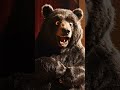 Kineveztek vezetőnek 😌😈📈 #comedy #medve #magyarhumor #standupcomedy 🌦️🌲🍎🐻