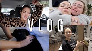 CAR VLOG, UNBOXING MAIL AND PUPPIES!