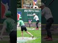 What’s in the Bag?😂 #dingersornothing #wiffleball #baseball #shorts