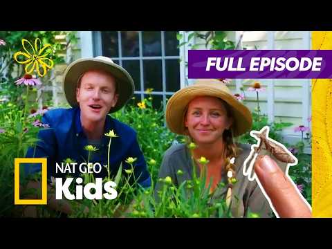 Bugs Rule! 🐛🦋🪲 | Weird But True Full Episode | @natgeokids