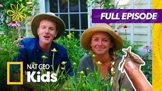 bugs rule weird but true full episode atnatgeokids