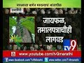 रत्नागिरी: नारळाच्या बागेत मसाल्यांचे आंतरपीक | कसा मिळवाल एकत्रित शेतीतून उत्तम आर्थिक नफा -TV9