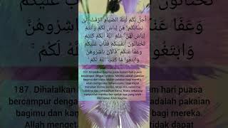 surat Al-Baqarah ayat 187 part 1 #shorts #murottal #quran