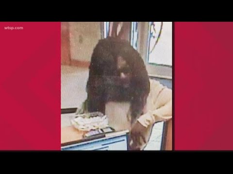 broadcast Suspected Clearwater bank robber on the run