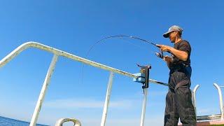 ８２・バチコン根魚五目釣り　連続３投入　ウッカリカサゴ３匹　アジング
