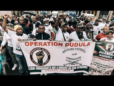 Afrique du Sud  le mouvement Dudula marche contre limmigration illgale