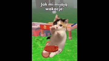 Thumbnail of Jak mi mijają wakacje 😂#cats#śmieszne#greenscreen #cat#trend#memes#funny#memy#catmeme@Kicia_rblx
