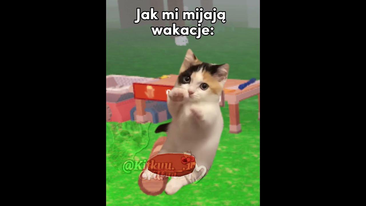 Jak mi mijają wakacje 😂#cats#śmieszne#greenscreen #cat#trend#memes#funny#memy#catmeme@Kicia_rblx