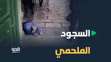 "السجود الملحمي".. طقس تلمودي بدأ المستوطنون إقامته في الأقصى منذ العام الماضي.. إليكم قصته: