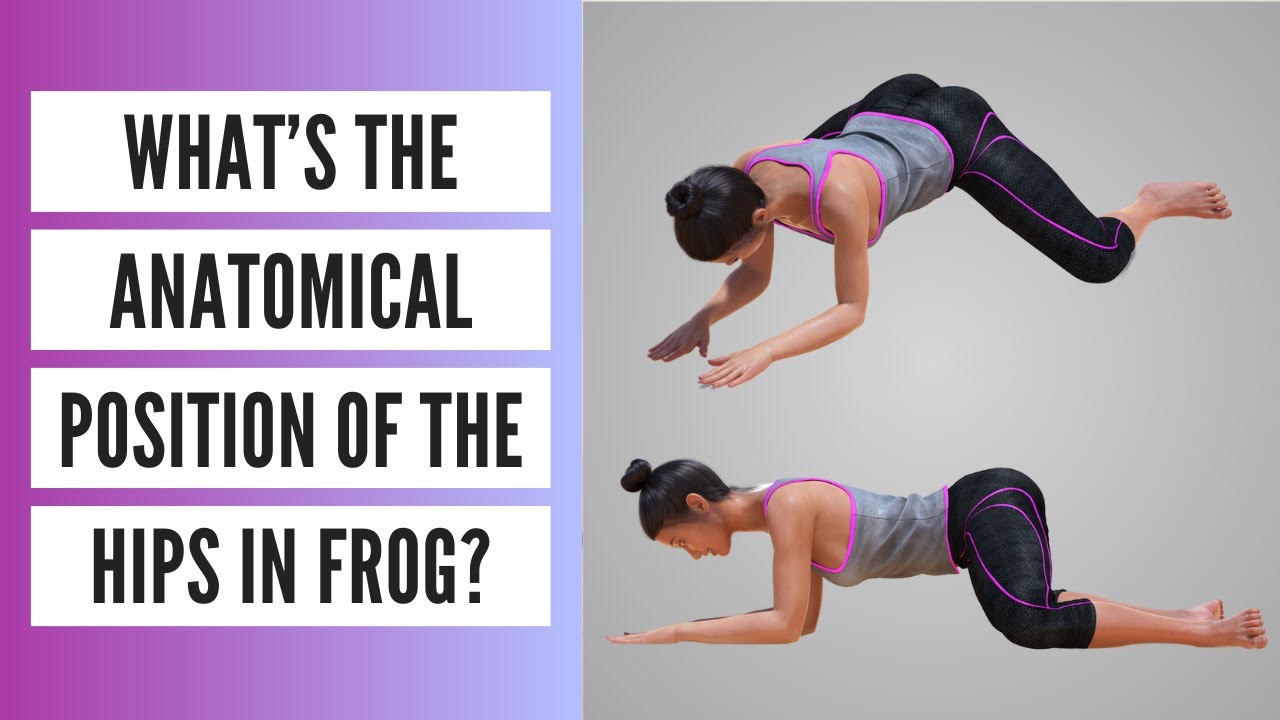 What's the Anatomical Position of the Hips in Frog Pose? 