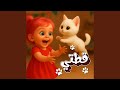  قطتي