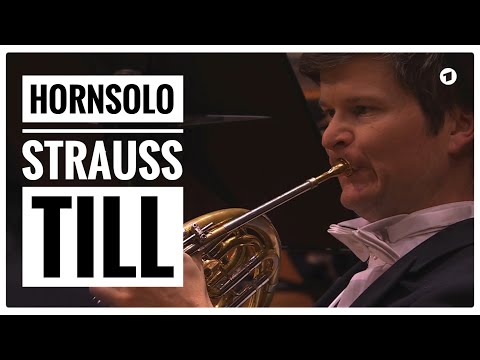 Strauss’s Till Eulenspiegel, Horn Solo