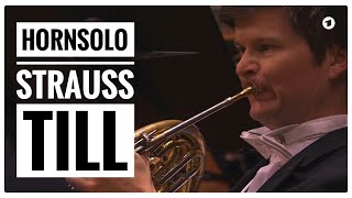 Strausss Till Eulenspiegel, Horn Solo