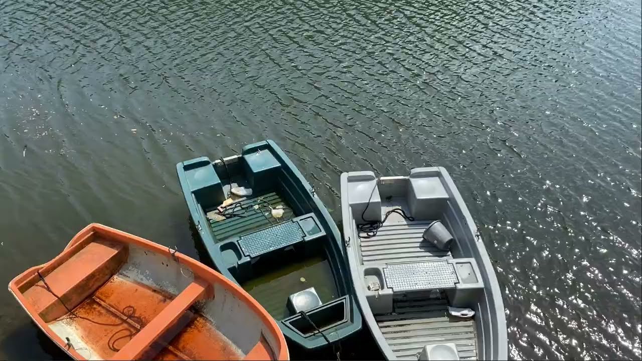 ئەی ڕووبارە خەمبارەکە | مستەفا دادار