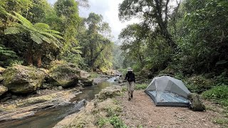 SOLO CAMPING DI SUNGAI PURBA! MENYUSURI SUNGAI SENDIRIAN DI TENGAH HUTAN • SUARA ALAM