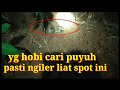 NGOBOR PUYUH DI PINGGIR JALAN TERNYATA HASILNYA