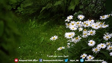 يا أيتها النفس المطمئنة ارجعي الى ربك راضية مرضية | الشيخ محمود خليل القارئ