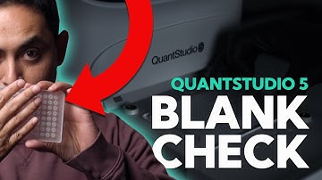 How to Do a PCR Blank Check in LESS Than 2 Minutes | QuantStudio 5