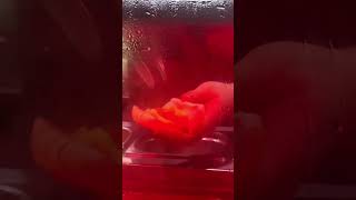 SOSİSLİ UZMANI ACARLAR 🔥🌭