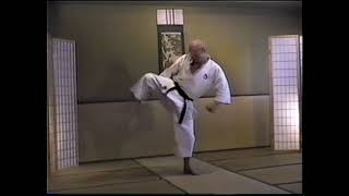 The art and science of traditional Japanese shotokan karate Ray Dalke kicking