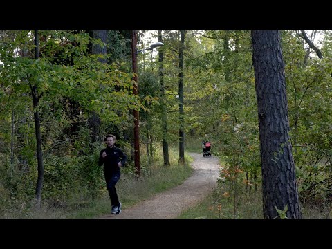 Video: Bladvinkelfördelningen Av Naturliga Växtpopulationer: Utvärdering Av Taket Med Ett Nytt Programverktyg