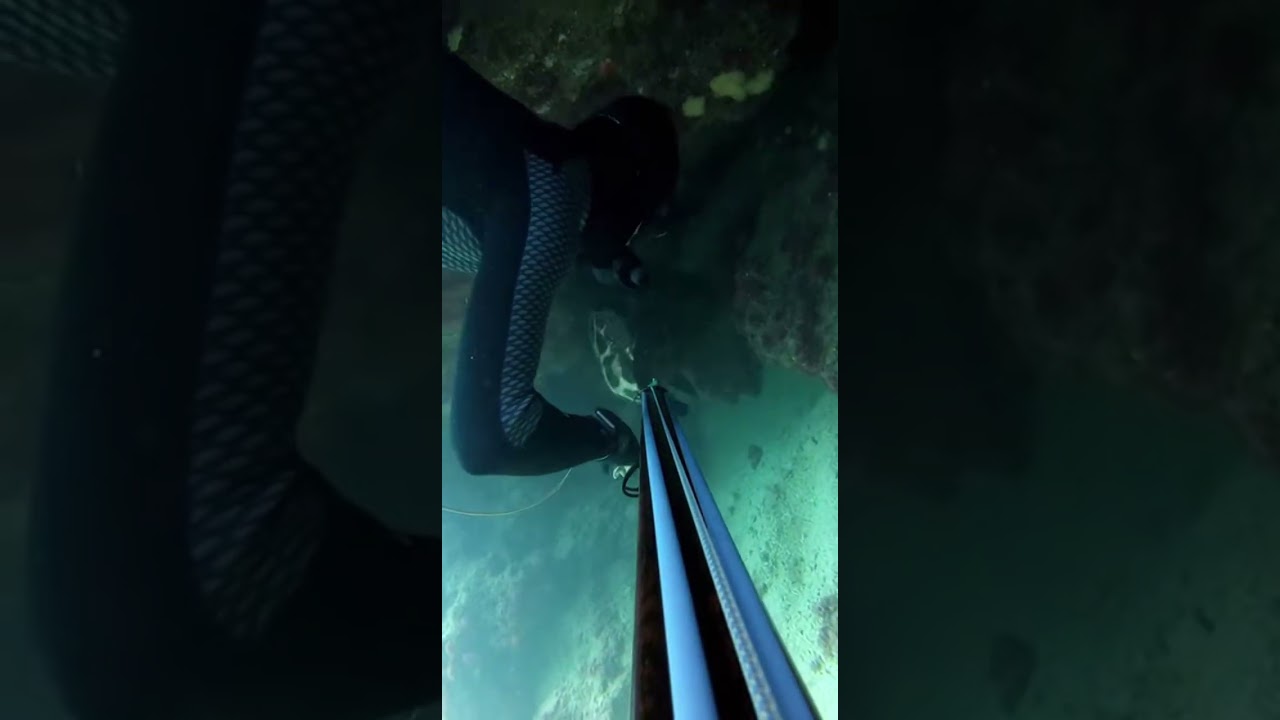 Crazy Fishing Skills in Action 🔥🎣 