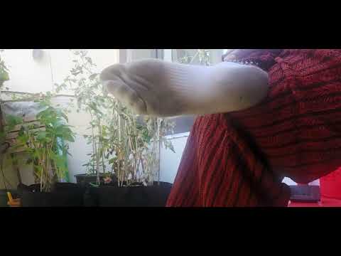 Stinky dirty footprint socks