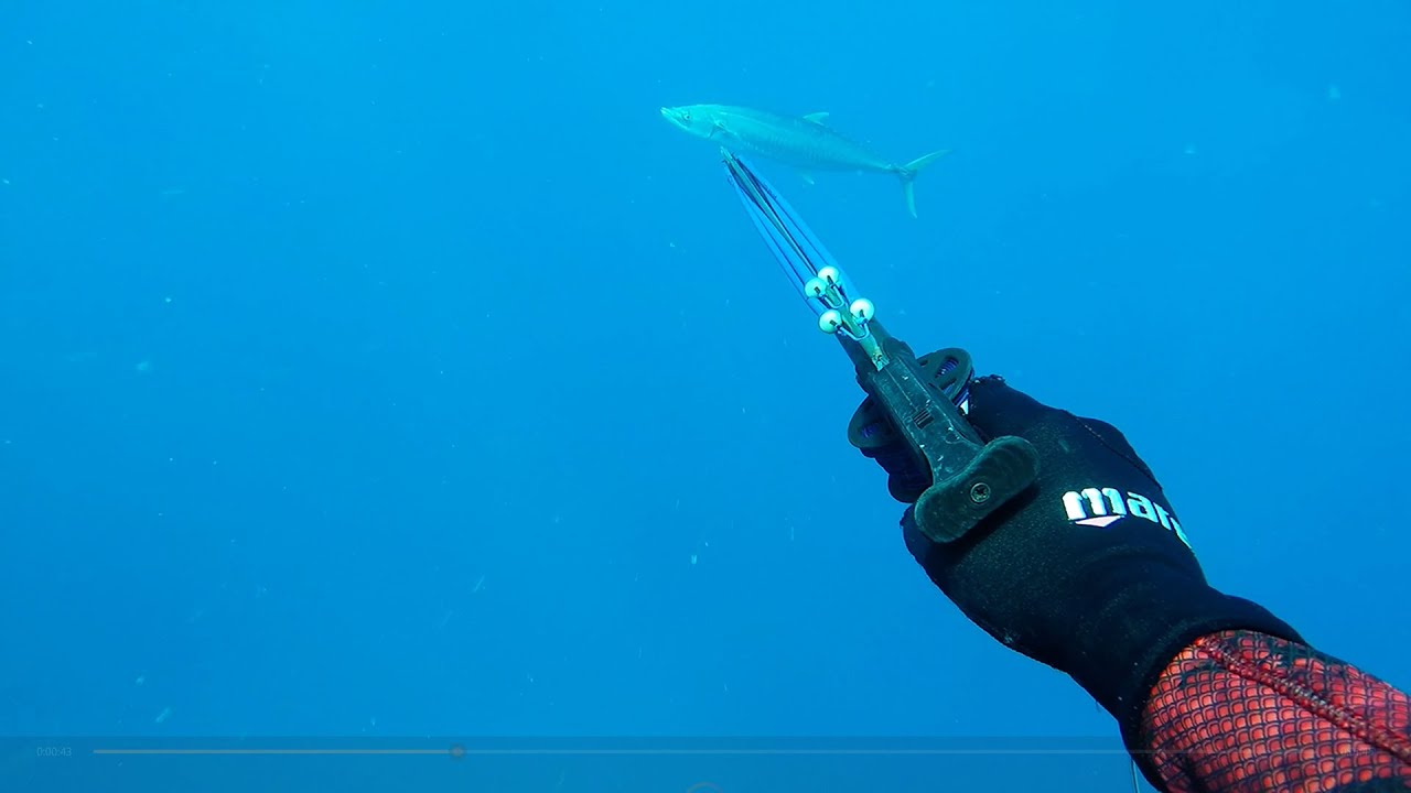 Spearfishing Australia coral trout and Spanish mackerel on outer reefs